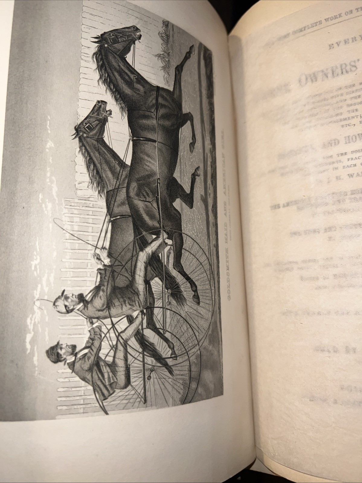 Every Horse Owners‘ Cyclopedia – Diseases, And How To Cure Them 1875 & 1971