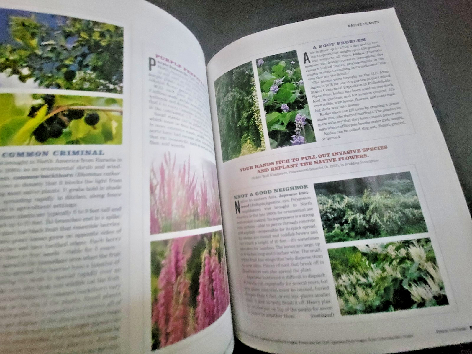 The Old Farmer’s Almanac Garden Guide 2026 – All Information Needed For Success