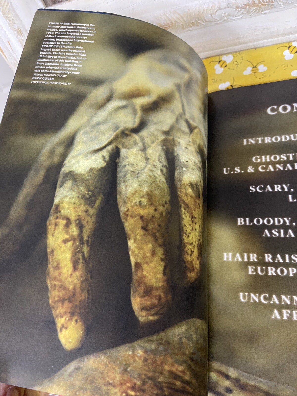THE WORLD’S MOST HAUNTED PLACES LIFE Magazine 2023 Reissue of Special Edition