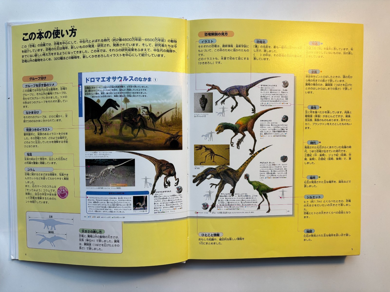 Japanese Childrens Dinasars book Shogakukan Encyclopedia NEO 180 pages