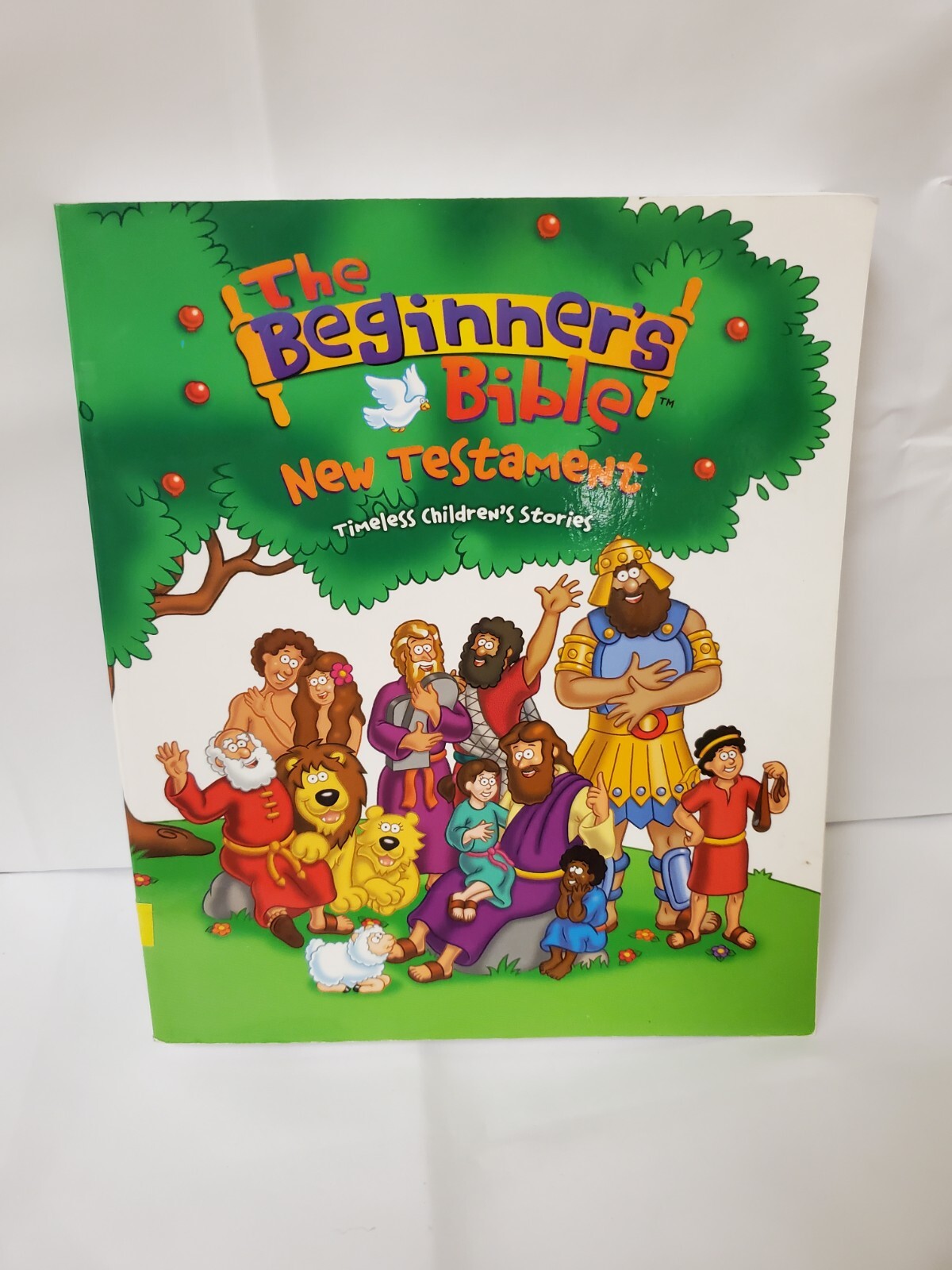 Kid The beginners bible New Testament