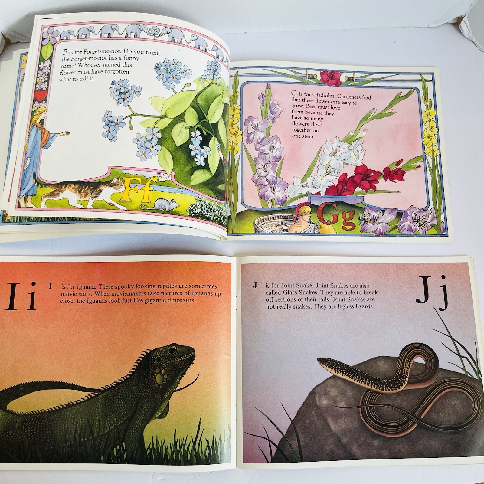 Lot 10 Childrens Alphabet ABC Books Chicka Chicka Boom Boom LMNO Peas Pallotta