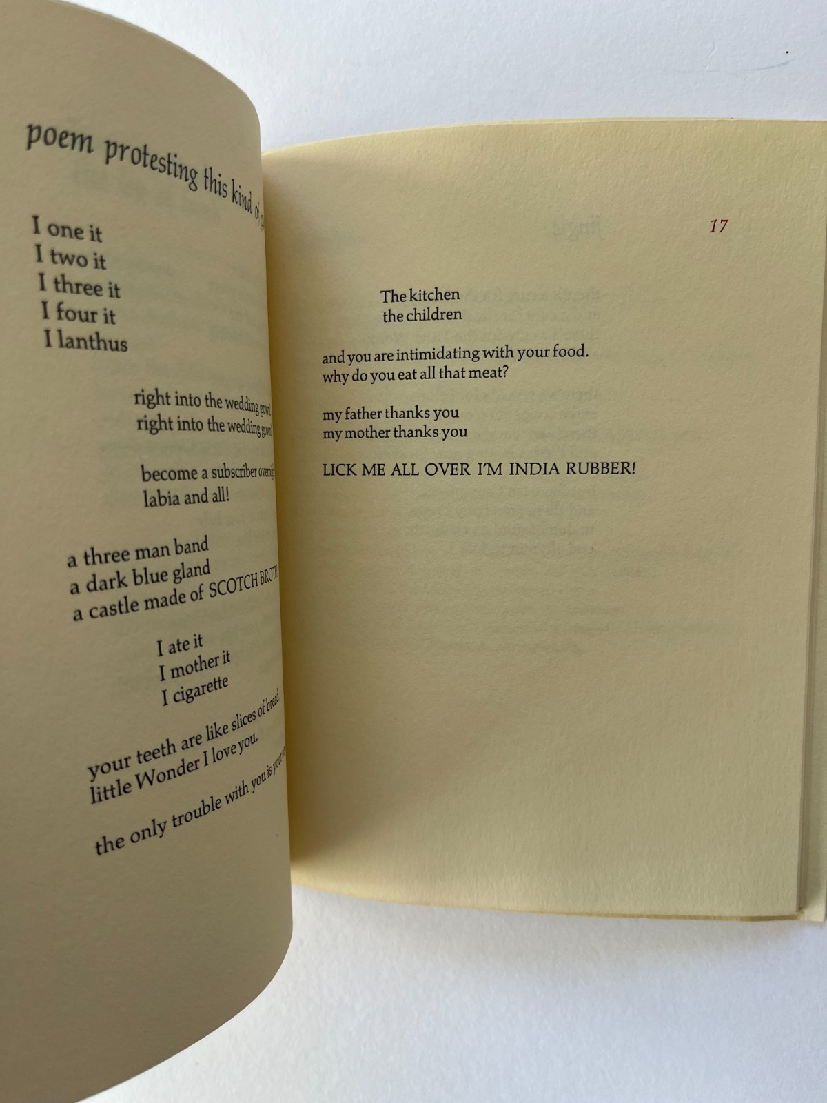 Abigail Luttinger / Good evening and other poems, Ltd SIGNED 1979 Penumbra Press