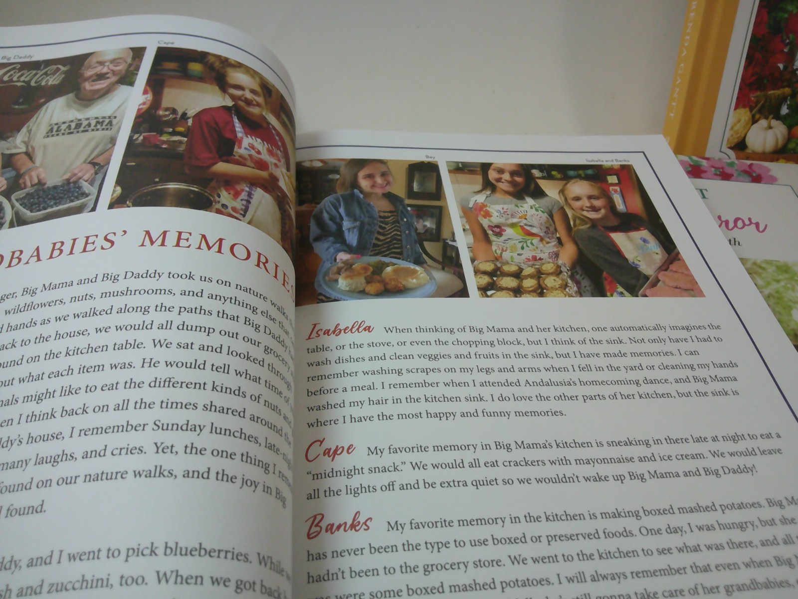 BRENDA GANTT ALL 3 COMPLETE COOKBOOKS + SOUTHERN MIRROR, ALL STILL IN BOX