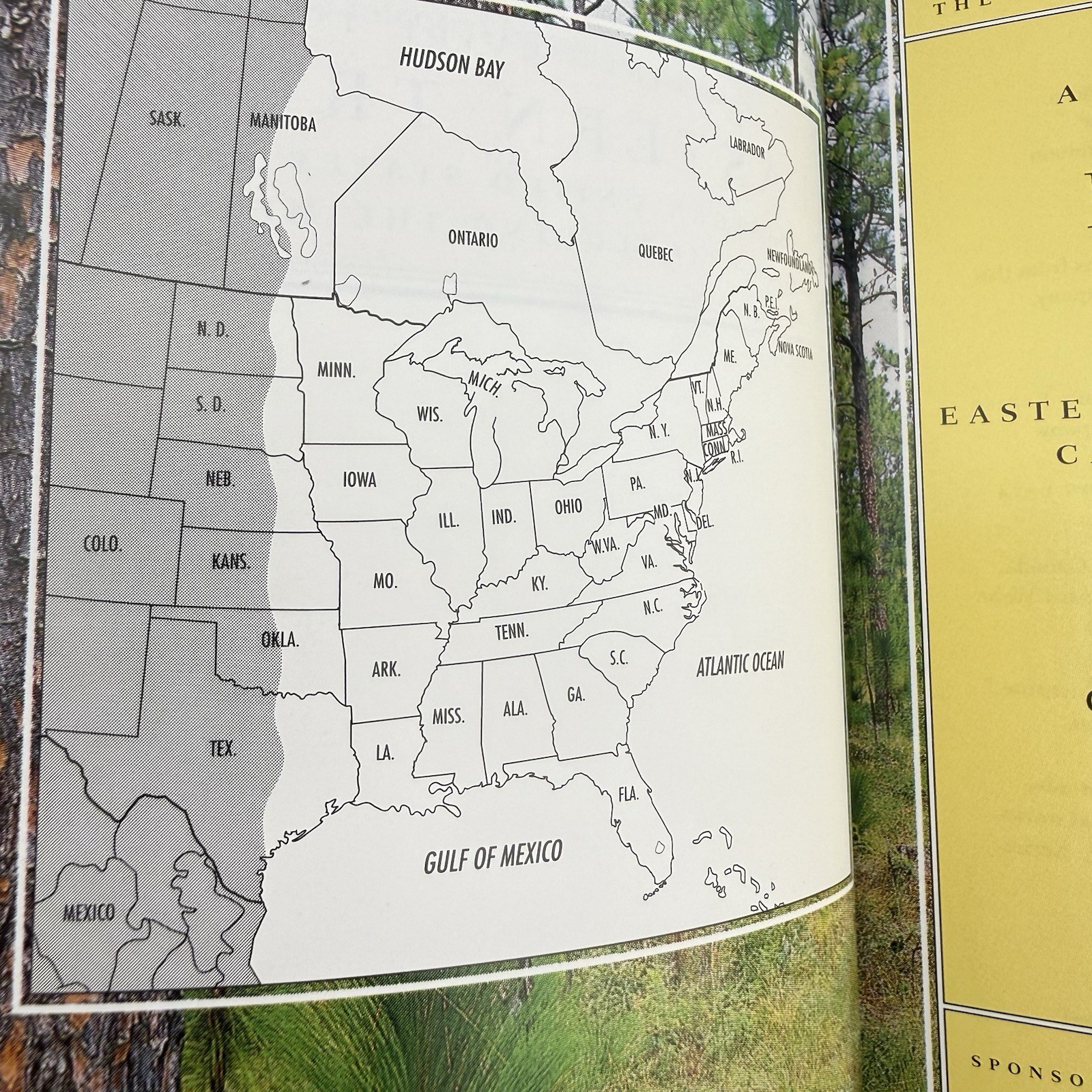 Peterson Field Guide to Eastern Trees George A. Petrides Janet Wehr