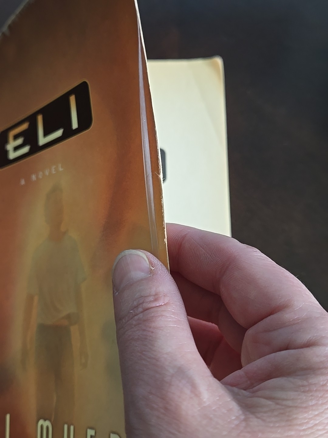 Bill Myers Books – Fire Of Heaven Trilogy, Eli, The Face Of God, The Wager