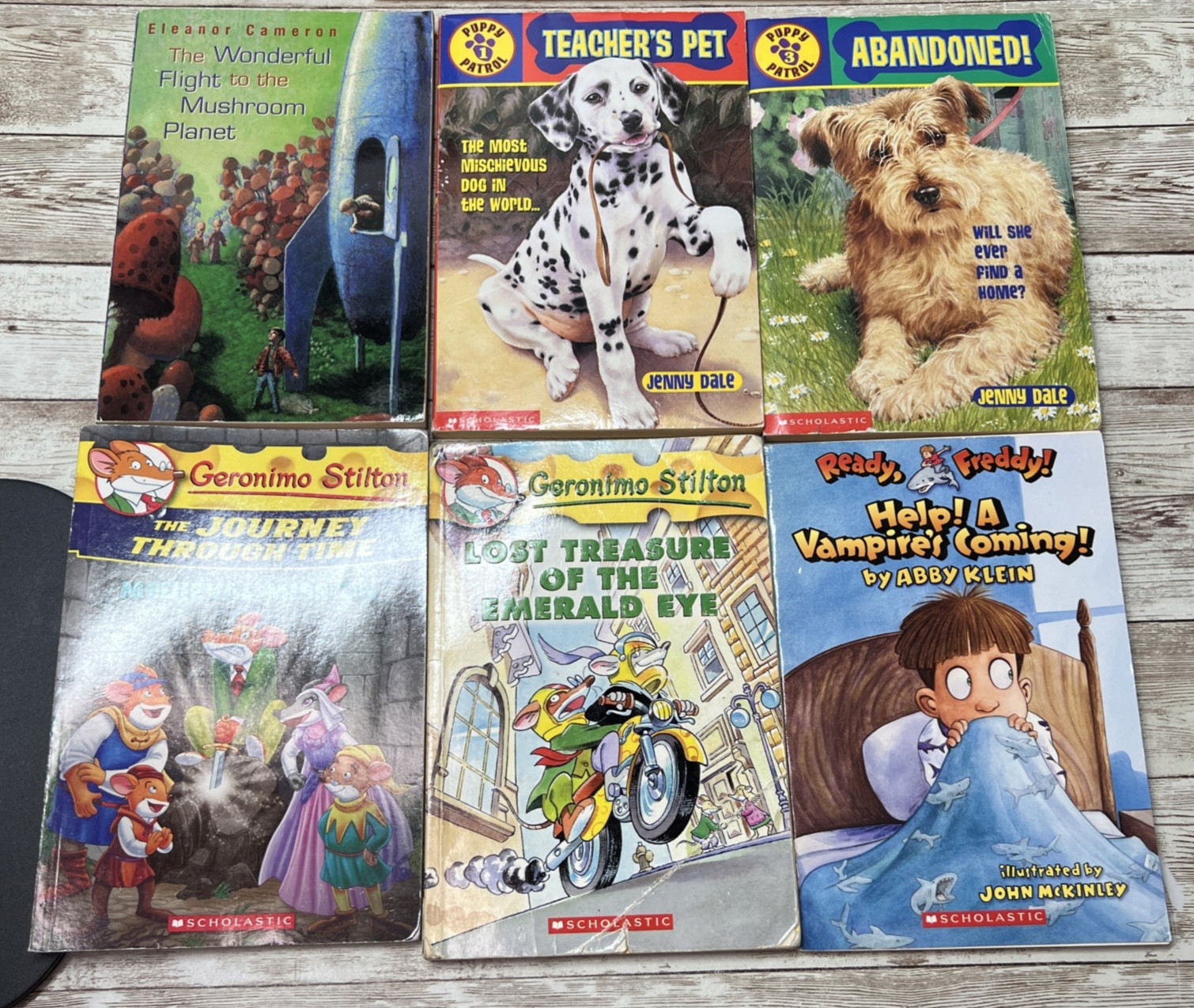 Lot of 39 Grade 3-6 Chapter Books Novels 15lbs / G. Stilton, Beverly Cleary etc.