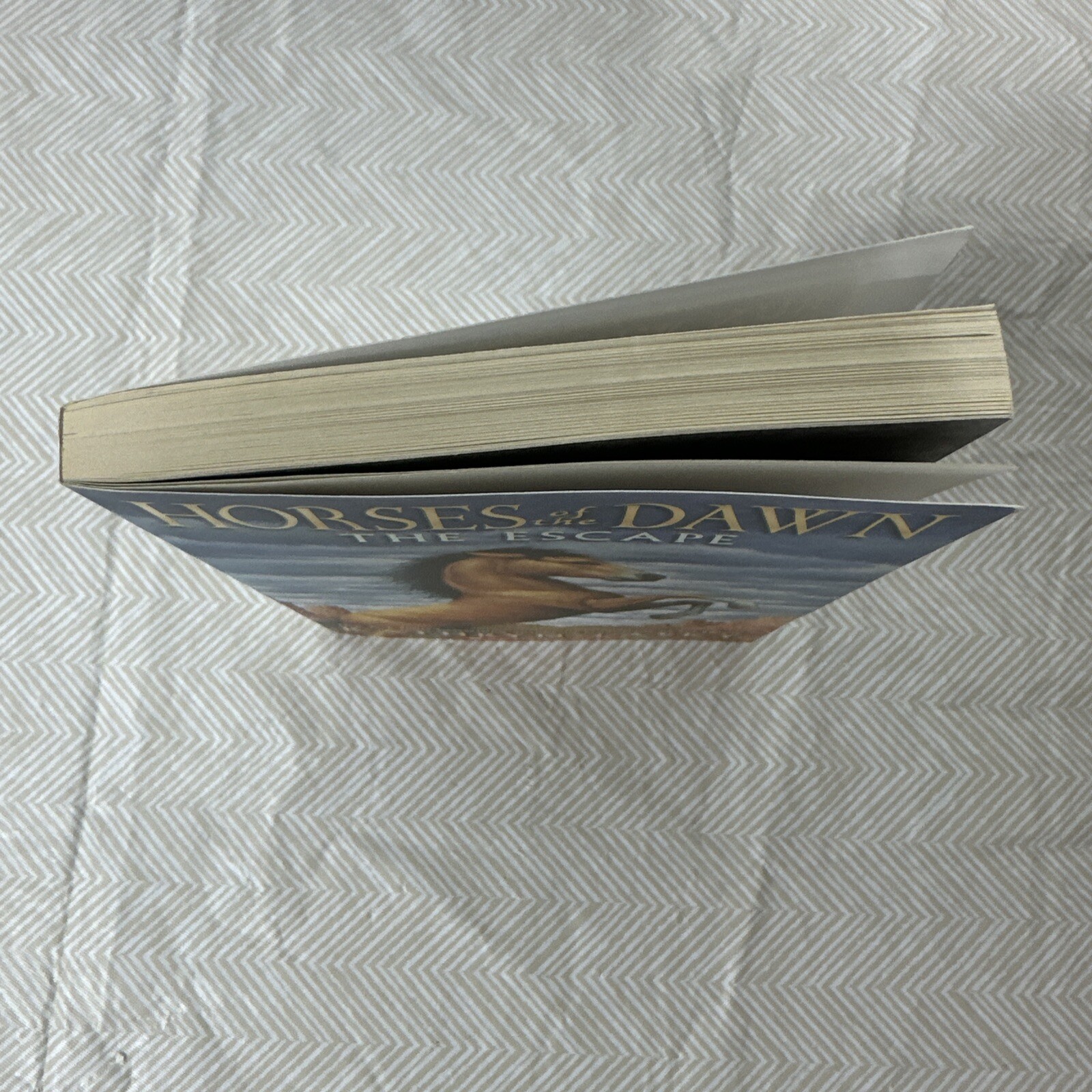 Horses of Dawn Series Kathryn Lasky First #1 The Escape 2014 1st Edition