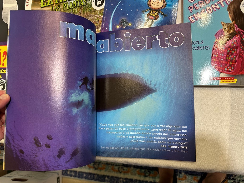 Scholastic 40 SPANISH Grade 4-6 Guided Reading Readers Books Level P, Q, R, S