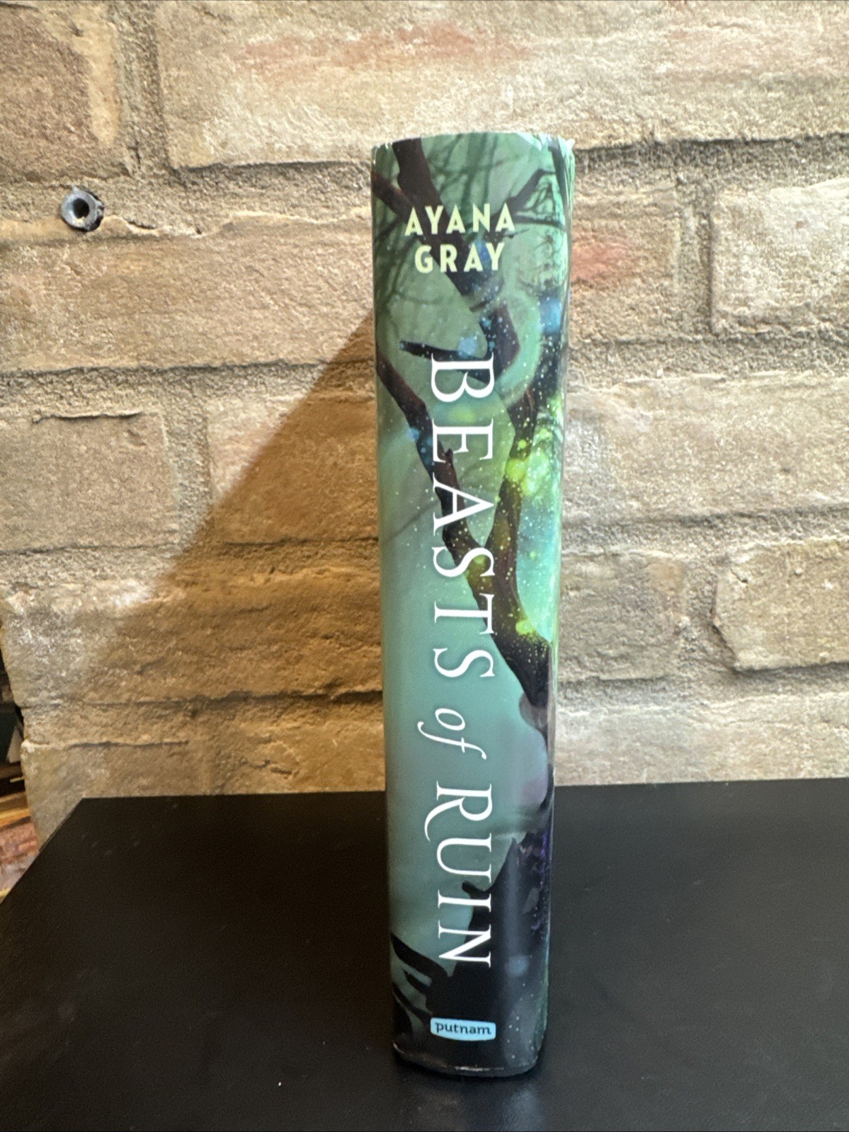 Beasts of Ruin by Ayana Gray (2022, Hardcover)