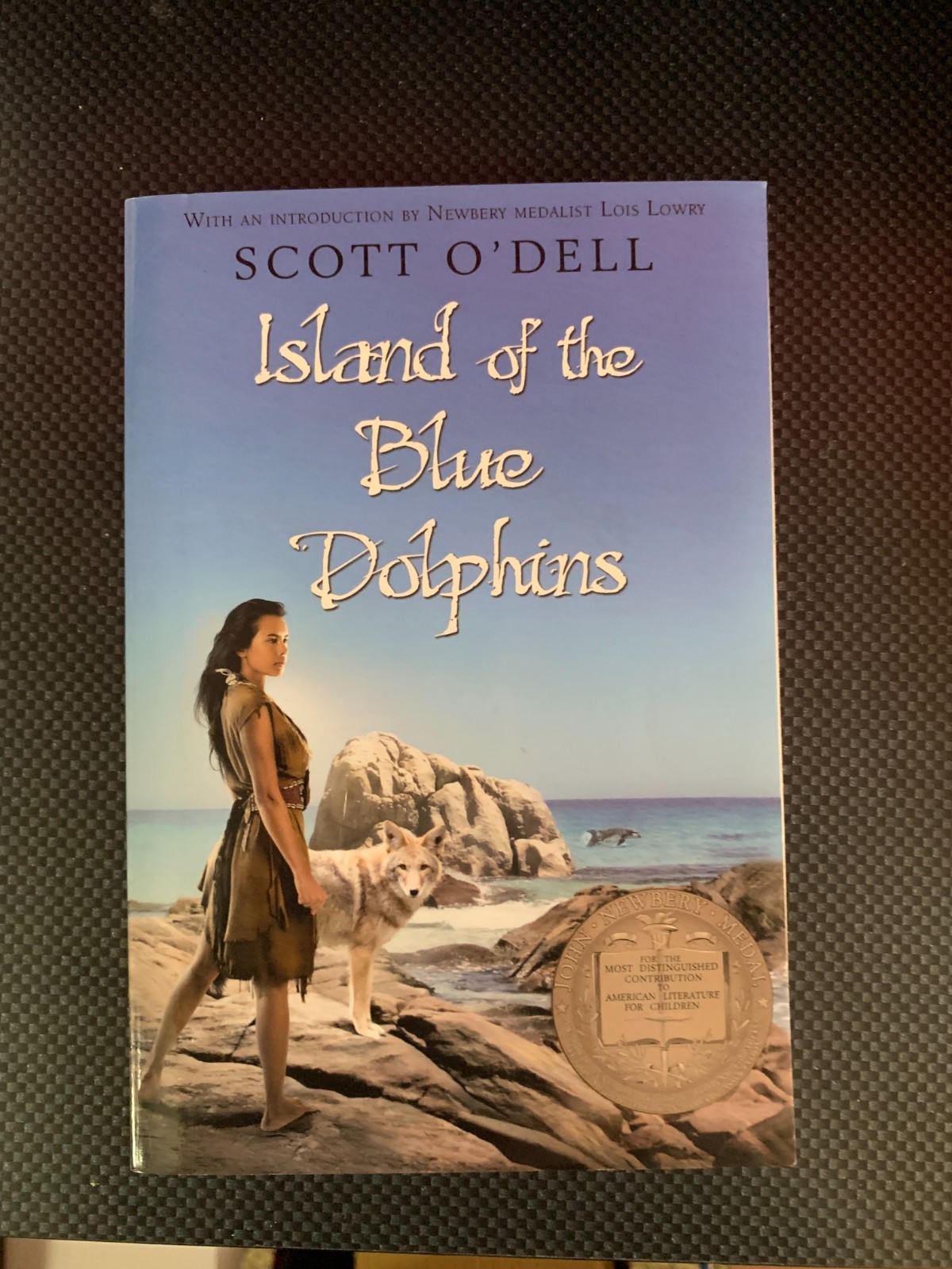 Island of the Blue Dolphins – Paperback By ODell, Scott – VERY GOOD