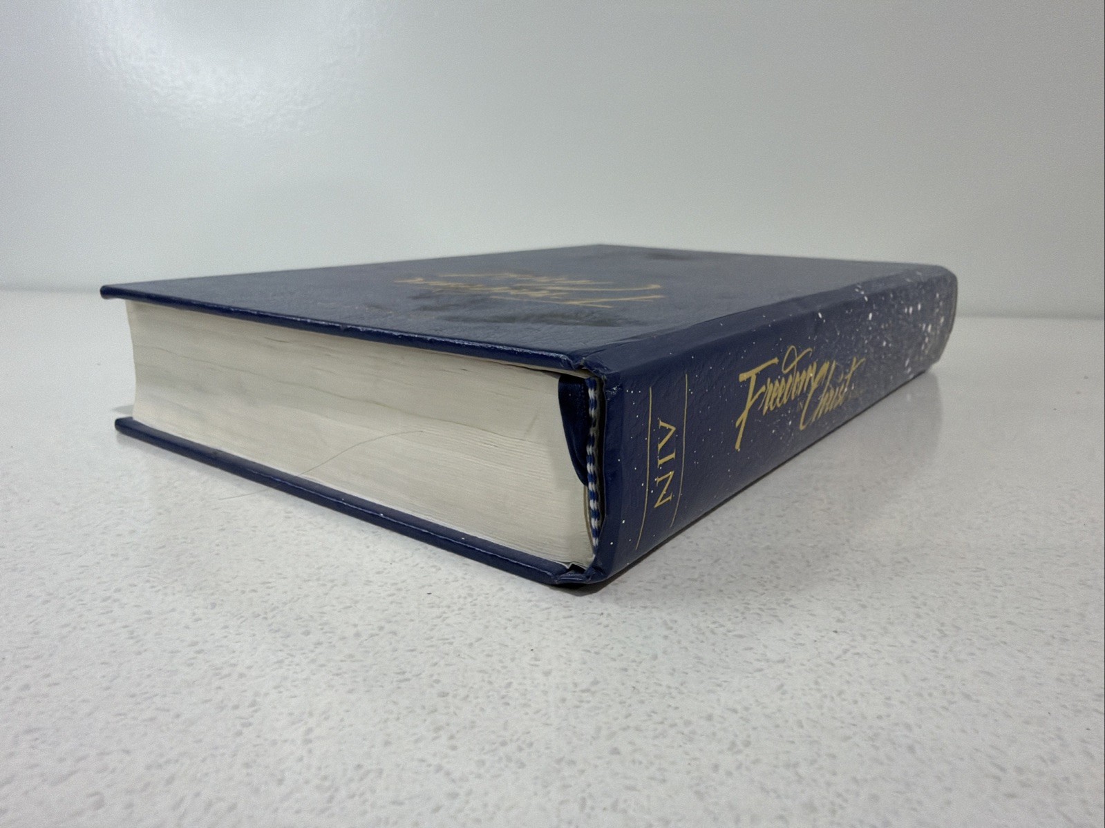 Freedom in Christ Bible by Zondervan Staff Blue 2001 Paint Splatter On Book