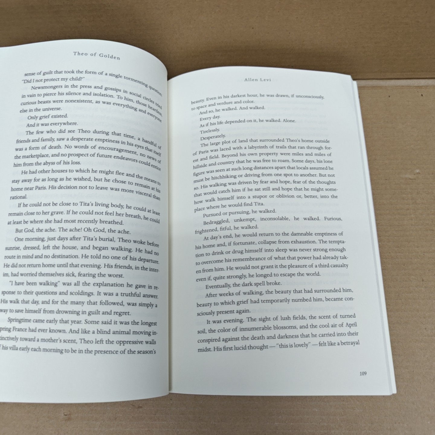 Theo of Golden by Allen Levi Paperback (Cracked Text Defective)