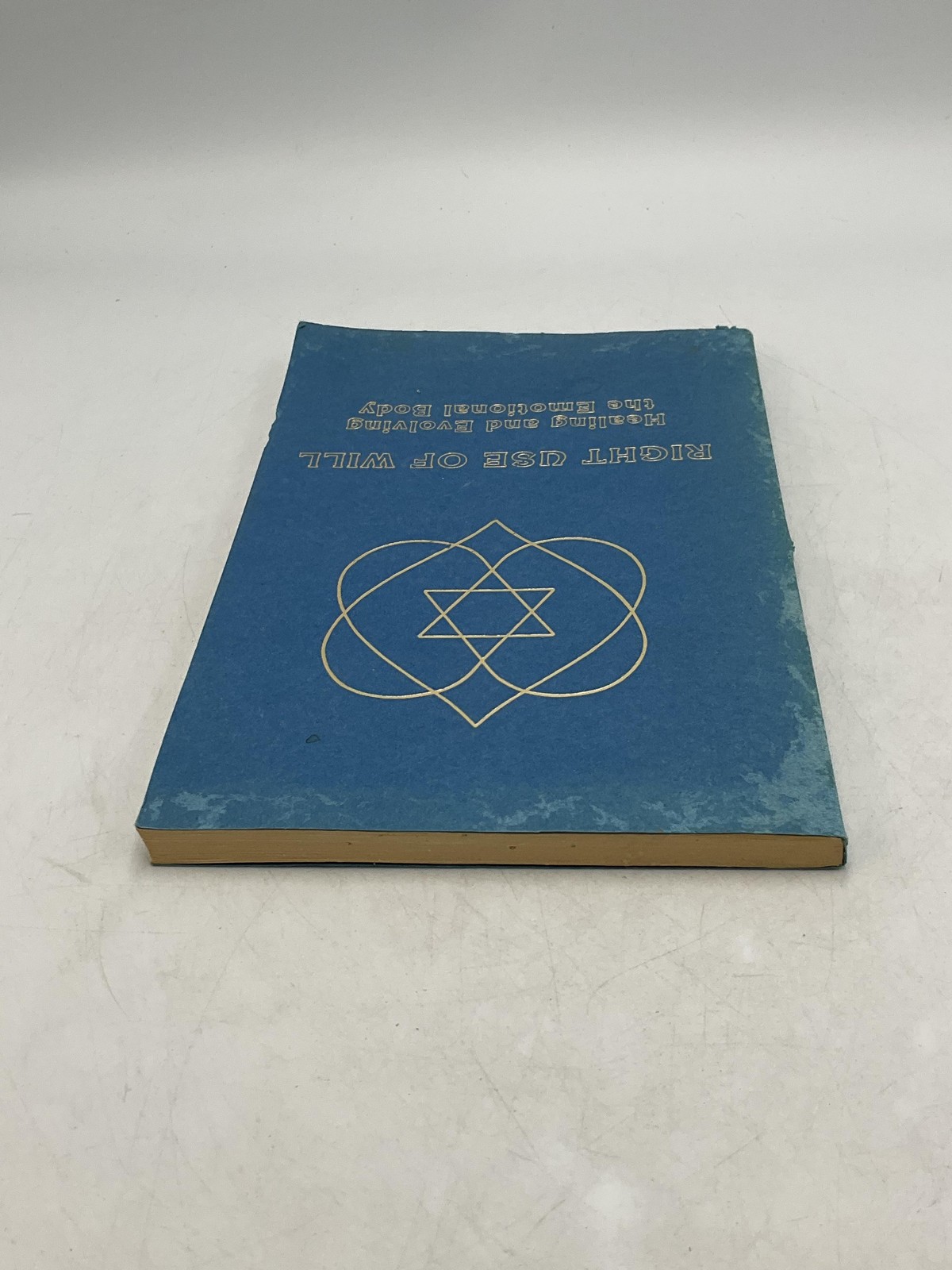 Right Use Of Will Ceanne DeRohan One World Blue Trade PB second printing 1985