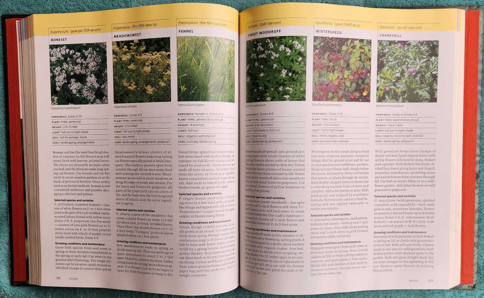 The Illustrated A To Z Encyclopedia Of Garden Plants Massive Hardcover 544 Pages