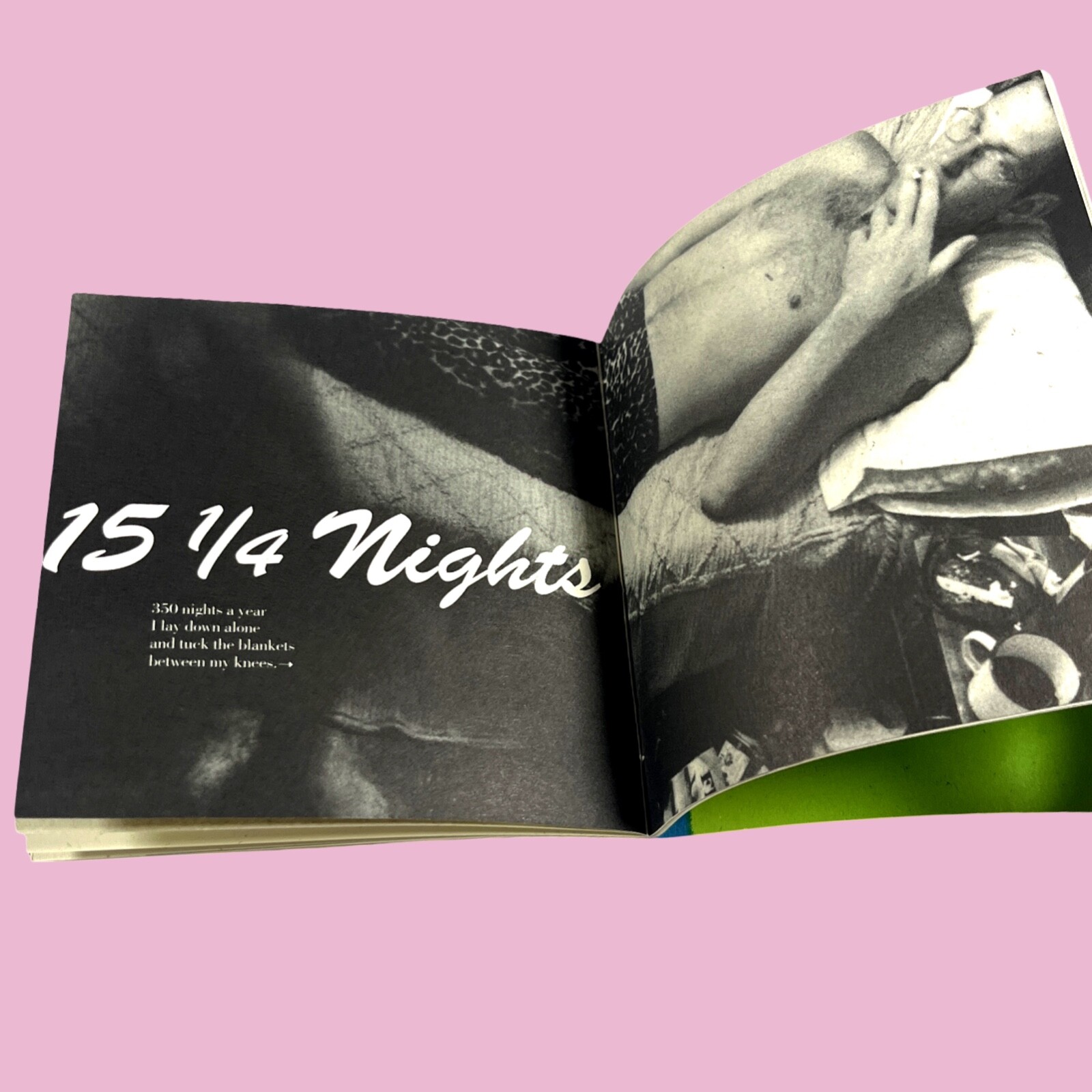 Amber Gayle- Mud In My Veins (1998) Evil Twin Publications Rare Zine See Photos