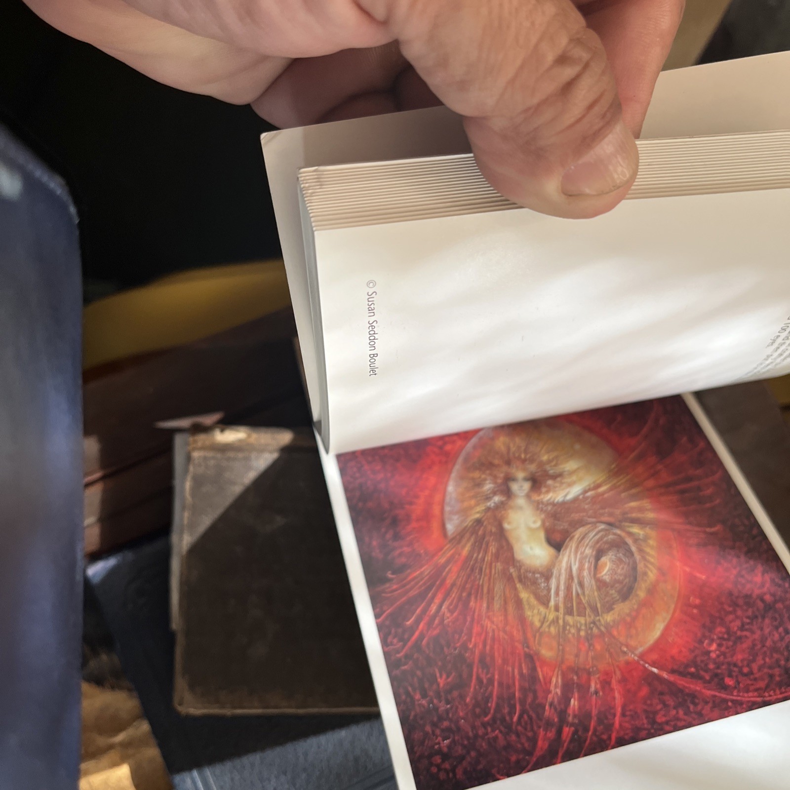 A SUSAN SEDDON BOULET BESTIARY: A BOOK OF POSTCARDS