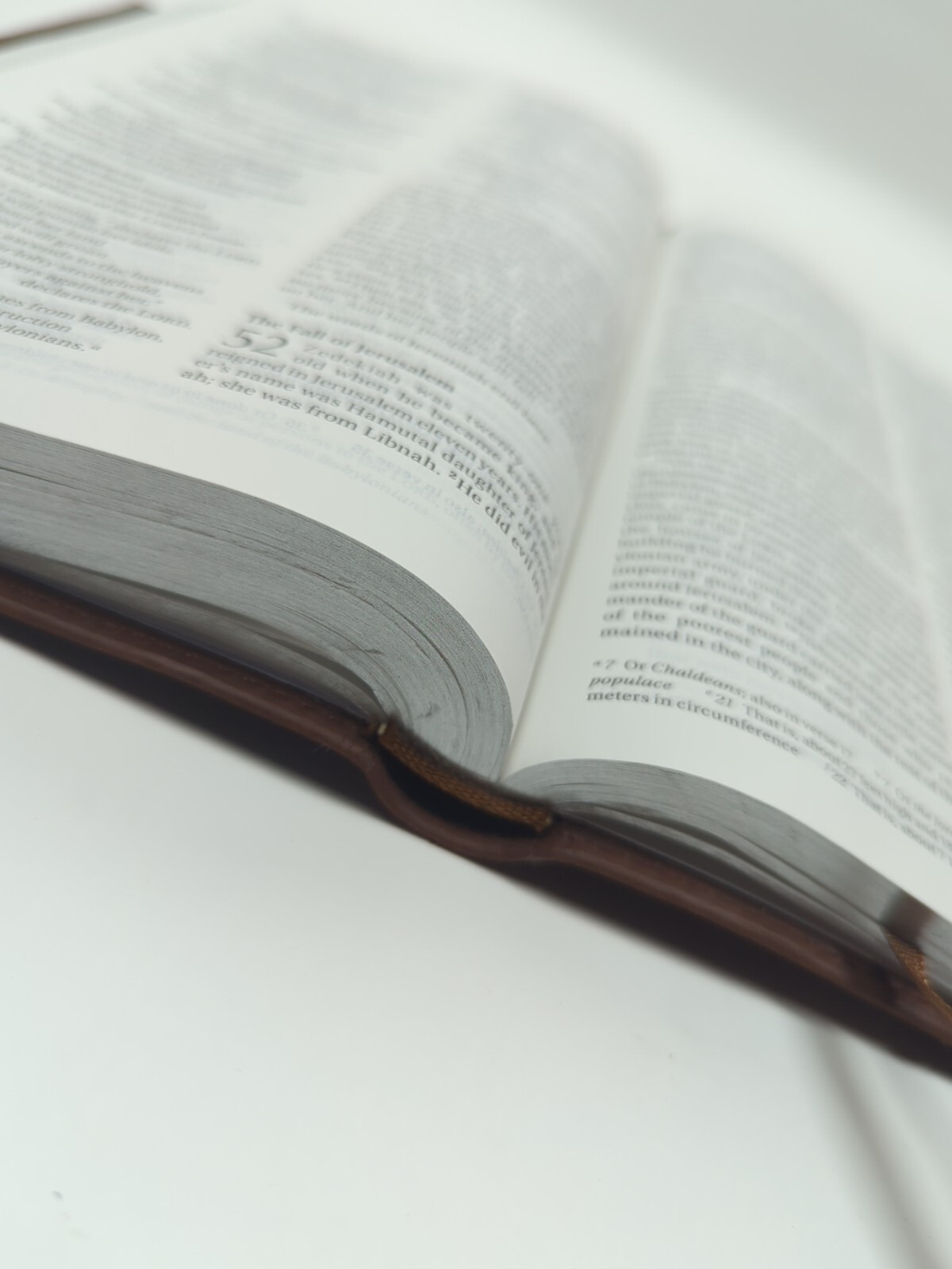 Thinline Bible by Zondervan Bibles Staff (2012, Leather, Special) Chocolate Brow