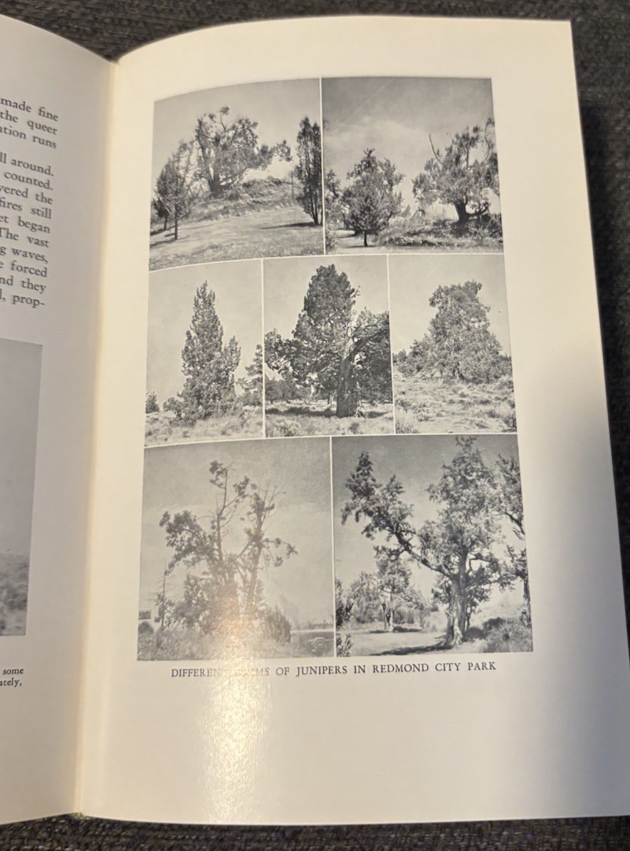 The Oregon Desert by Jackman, E. R., Long, R. A. Vintage 1964 Signed Hardcover