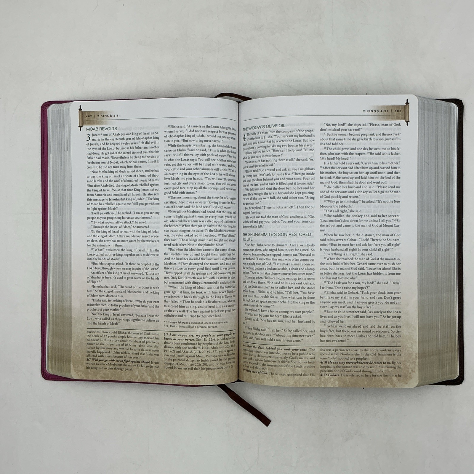 Zondervan NIV First Century Study Bible Dobson Italian Duo Tone Chocolate Orchid