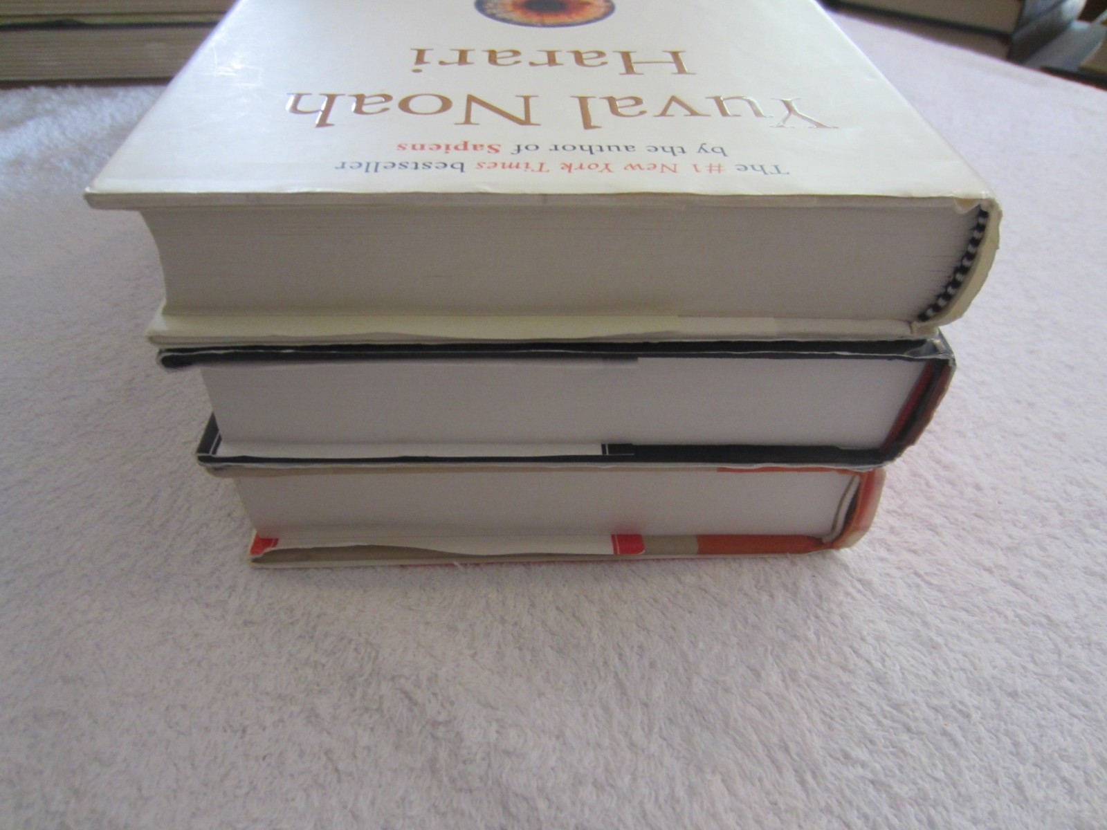 Sapiens Homo Deus 21 Lessons for the 21st Century by Yuval Noah Harari – HCDJ