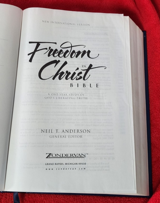 Freedom in Christ Bible New International Version Discovery Zondervan 2001 HB