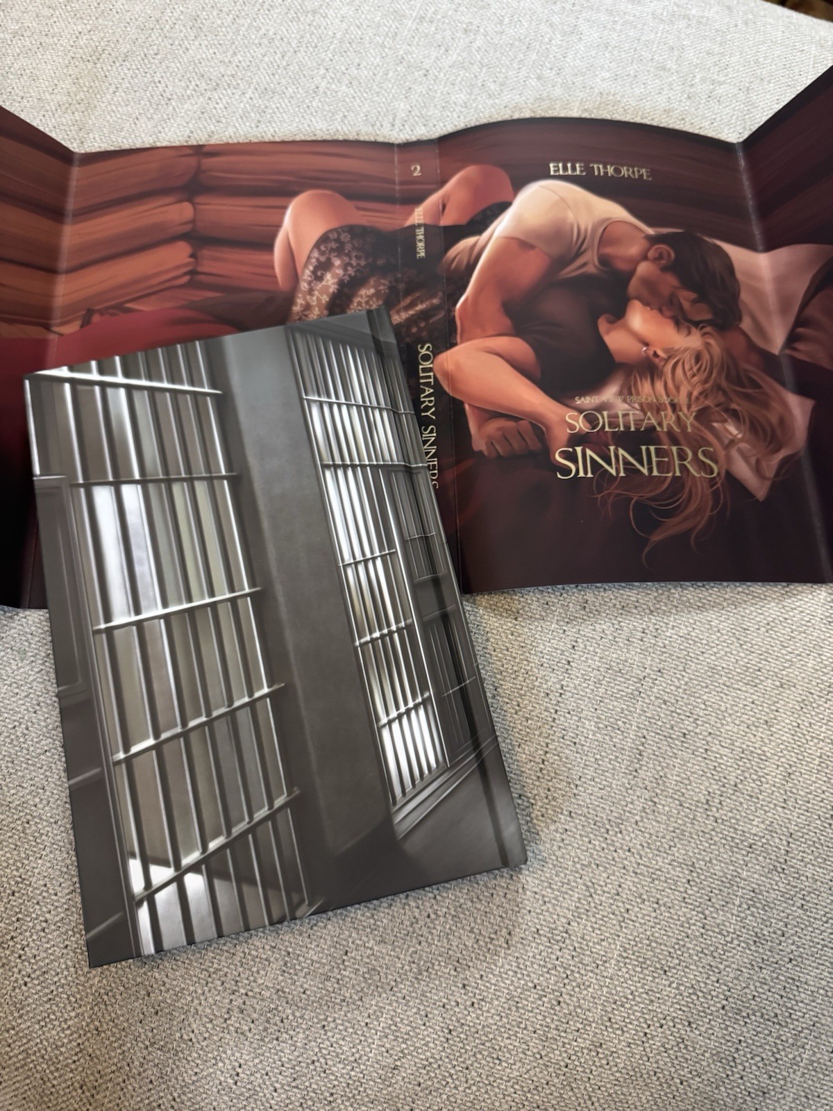 Elle Thorpe Saint View Prison Series Books For Days Crate Special Editions New