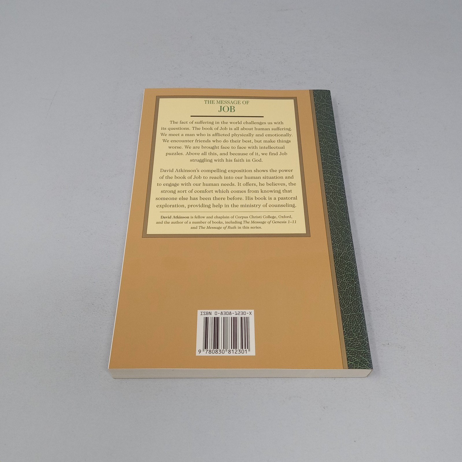 The Message of Job: 1992 InterVarsity Press Paperback by David Atkinson