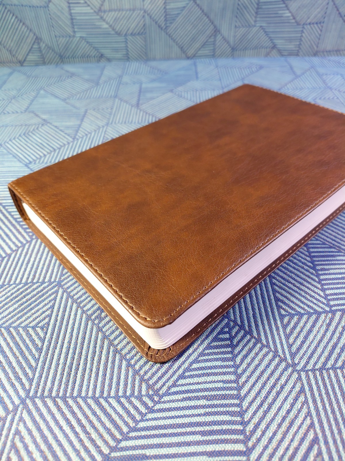 ESV Concise Study Bible (TruTone, Brown): Holy Bible, English Standard Versi…
