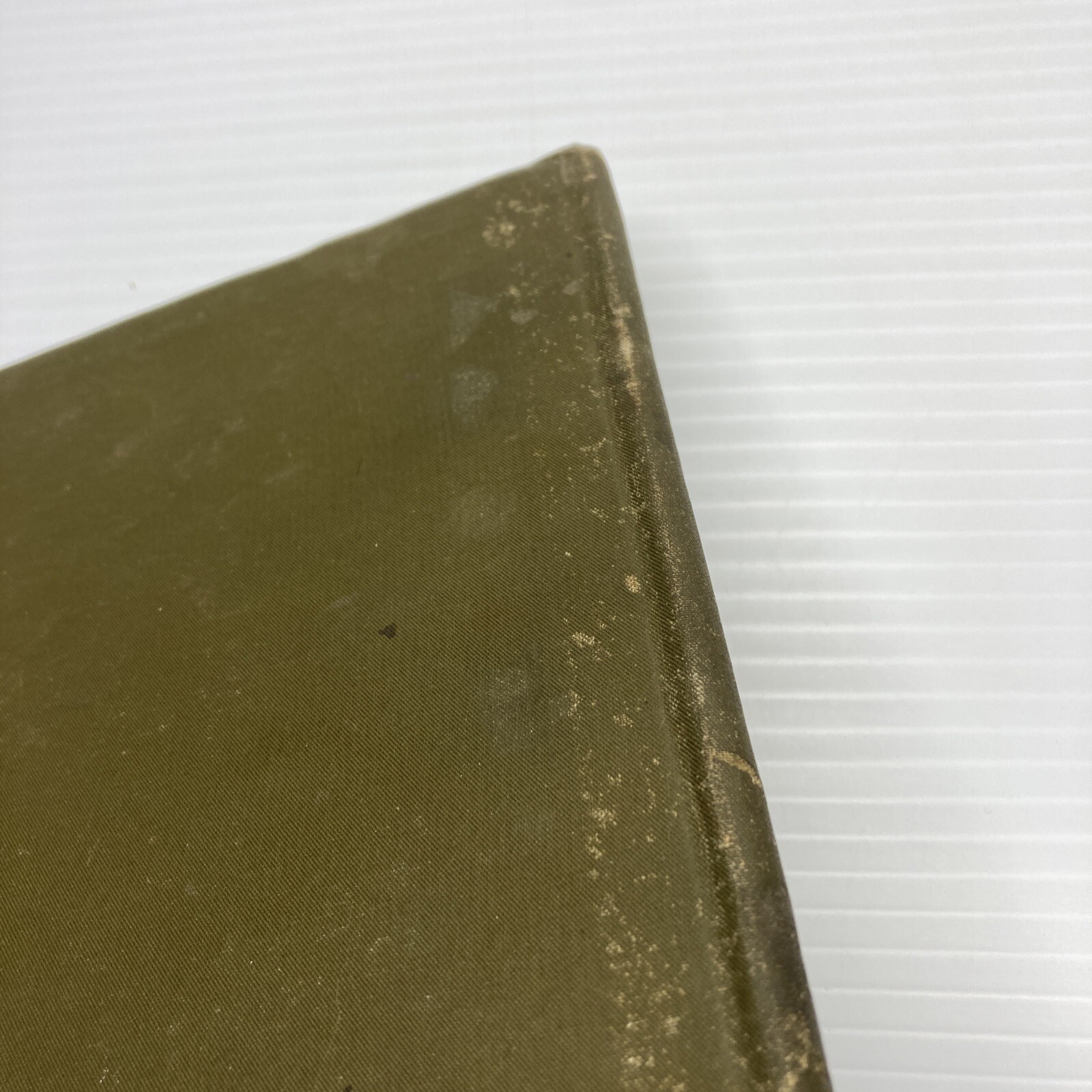 The Care and Feeding of Children L. Emmett Holt 1894 First Edition D. Appleton