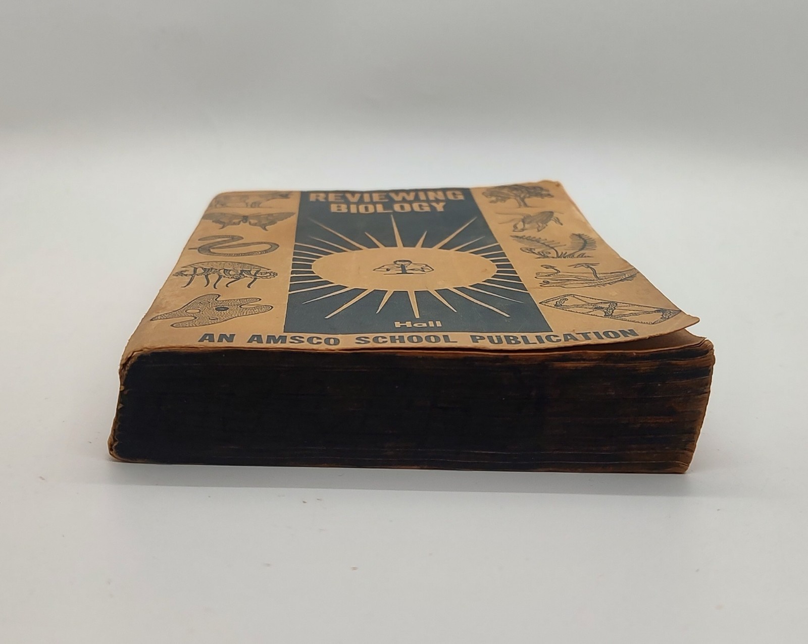„Reviewing Biology“ Vintage 1955 Amsco School Publications