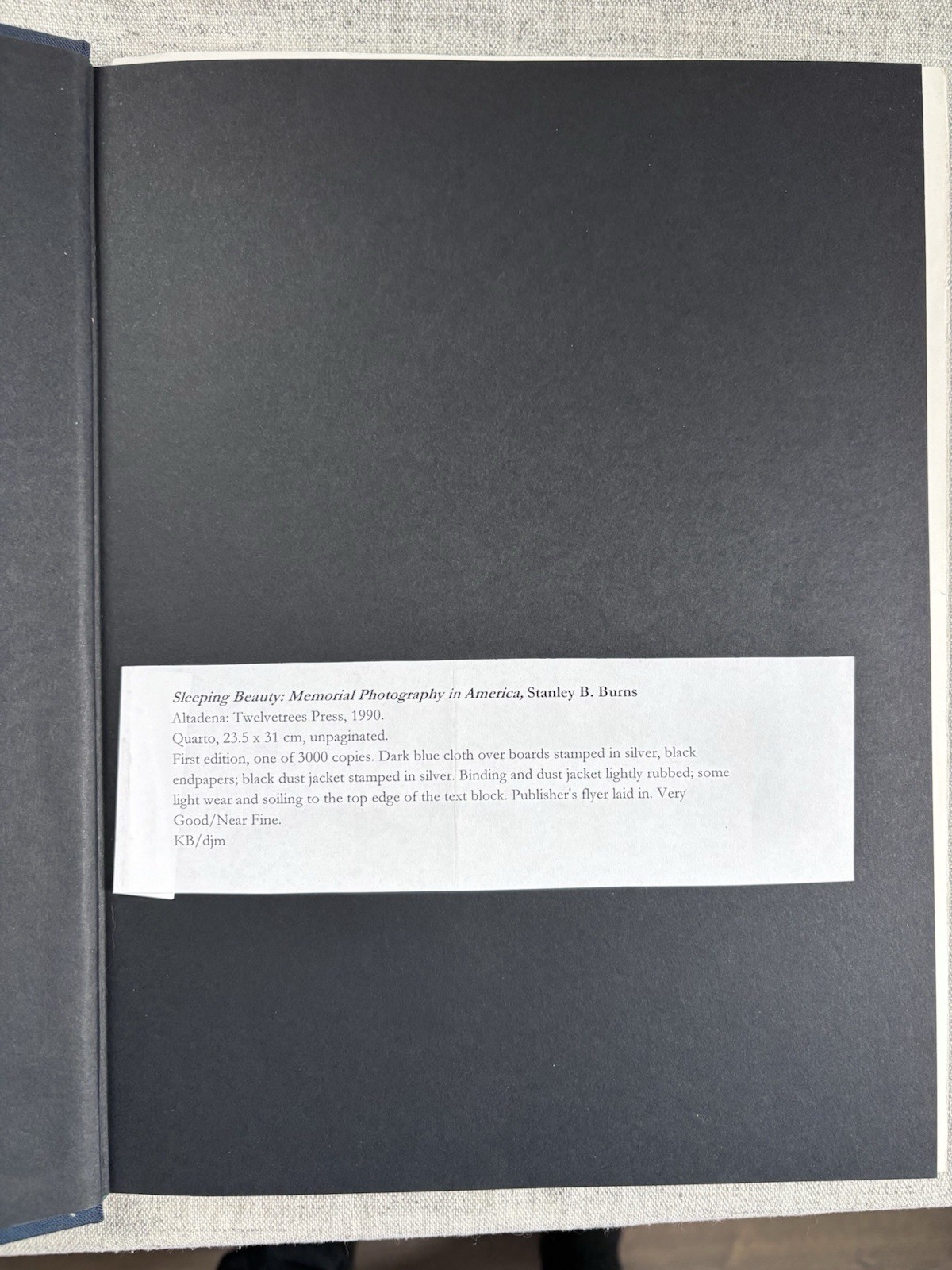 Stanley B. Burns Sleeping Beauty Memorial Photography Hardcover 1990 First Ed