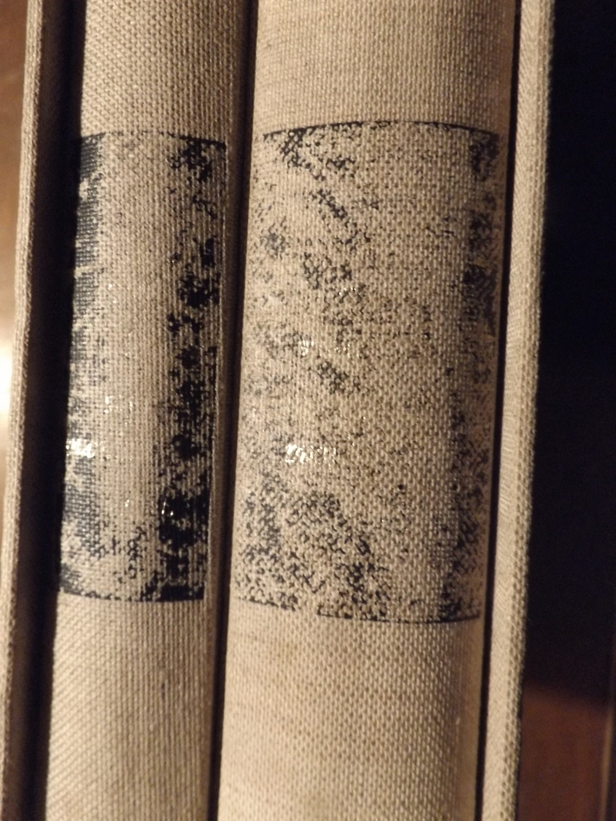 Pamploma Bibles (2 Vol Set) by Francois Bucher (1970)With Storage Sleeve