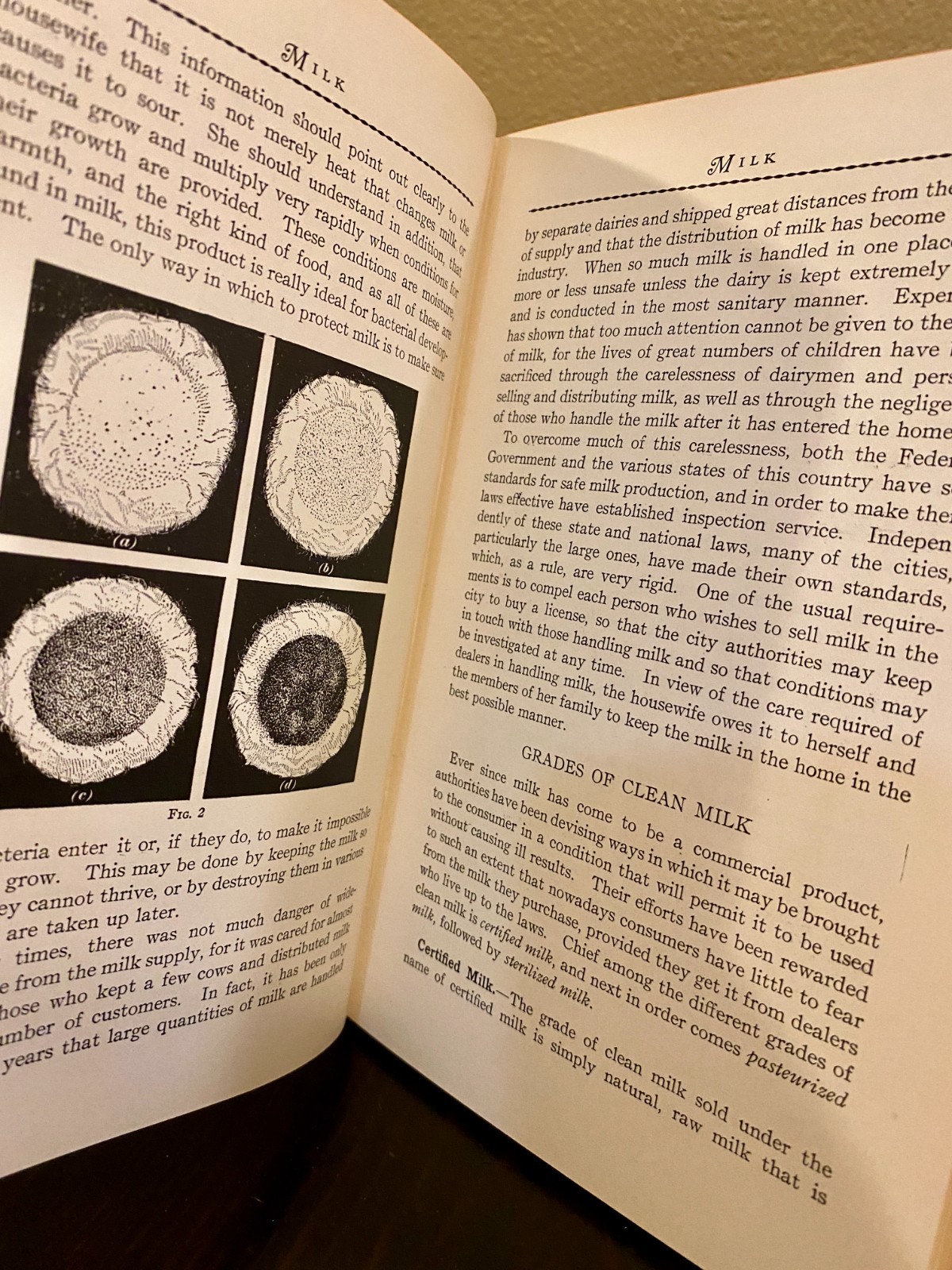 1929 Women’s Institute of Cookery Cookbooks: Set of 10 in Superb Condition