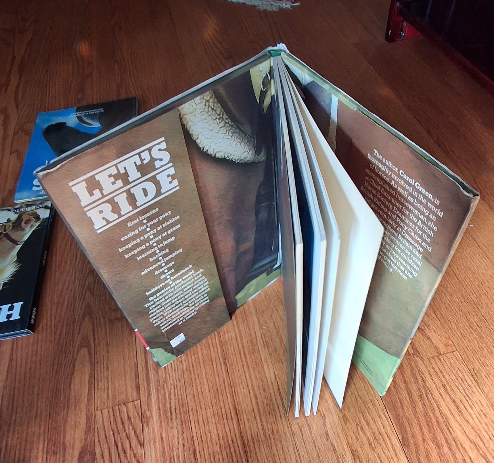 Horse Equestrian Picture Books Riding Horsemanship Horses 1970s Lot of 3 HCDJVG