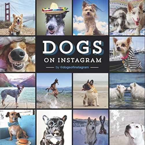 Dogs on Instagram – Hardcover, by @dogsofinstagram – Very Good b