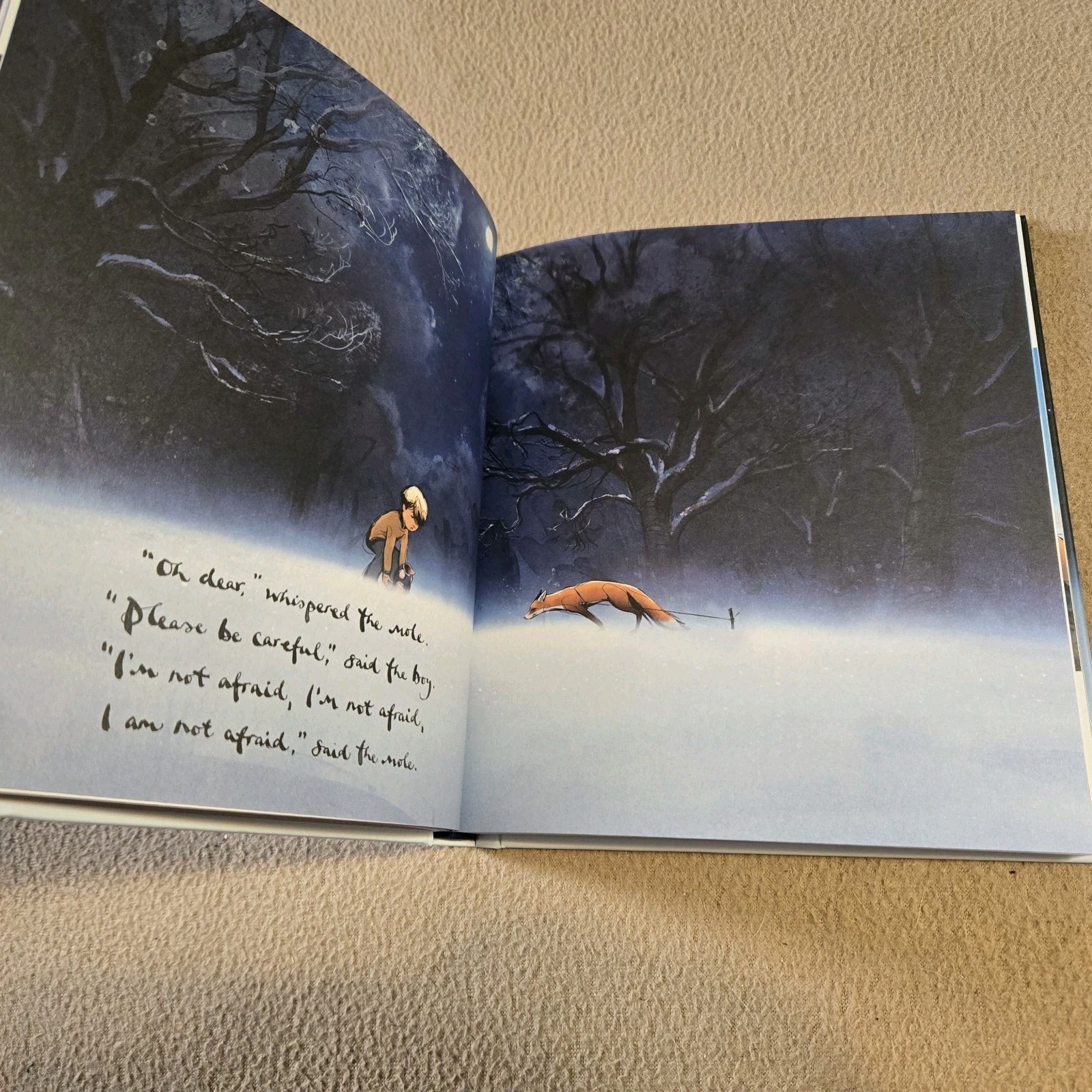 The Boy the Mole the Fox and the Horse, Mackesy, Animated Story, 1st Printing