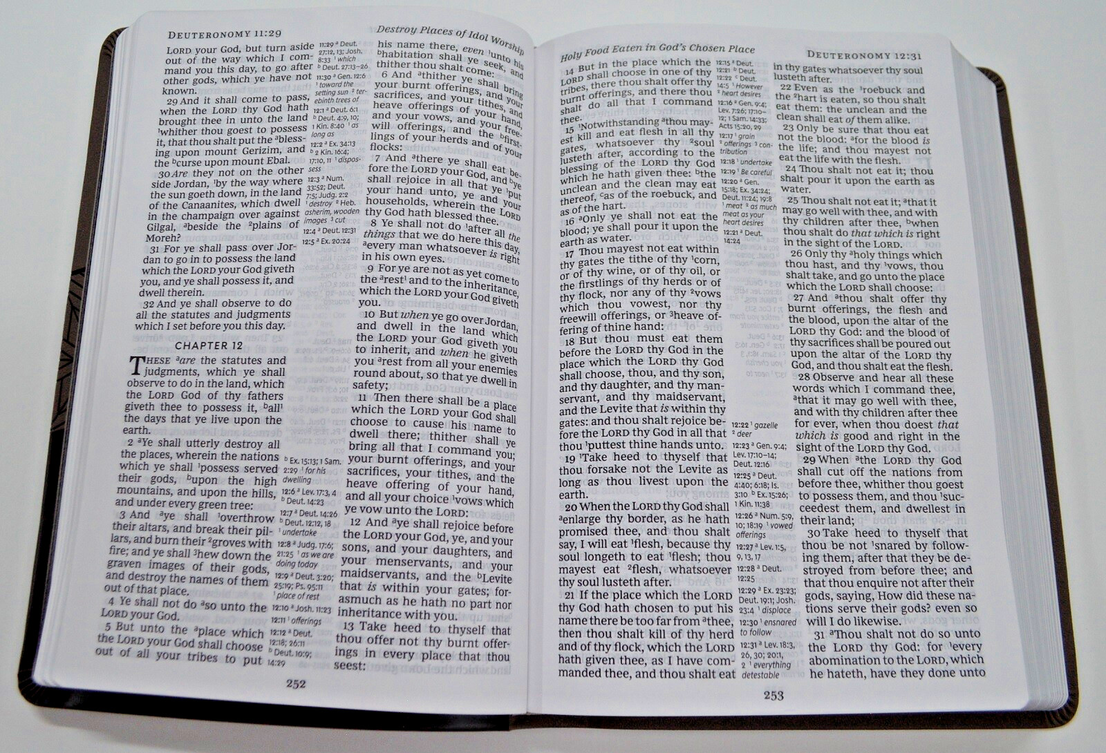 KJV Giant Print Red Letter Edition BRAND NEW in Shrink Wrap!!!