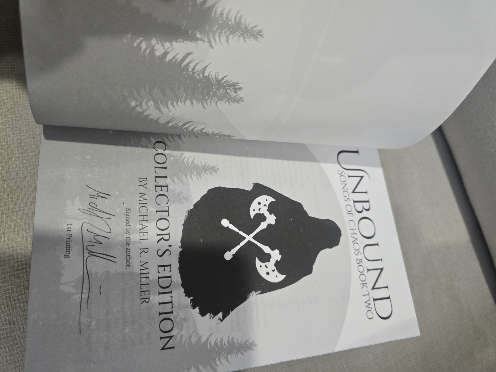 Ascendant And Unbound Broken Binding
