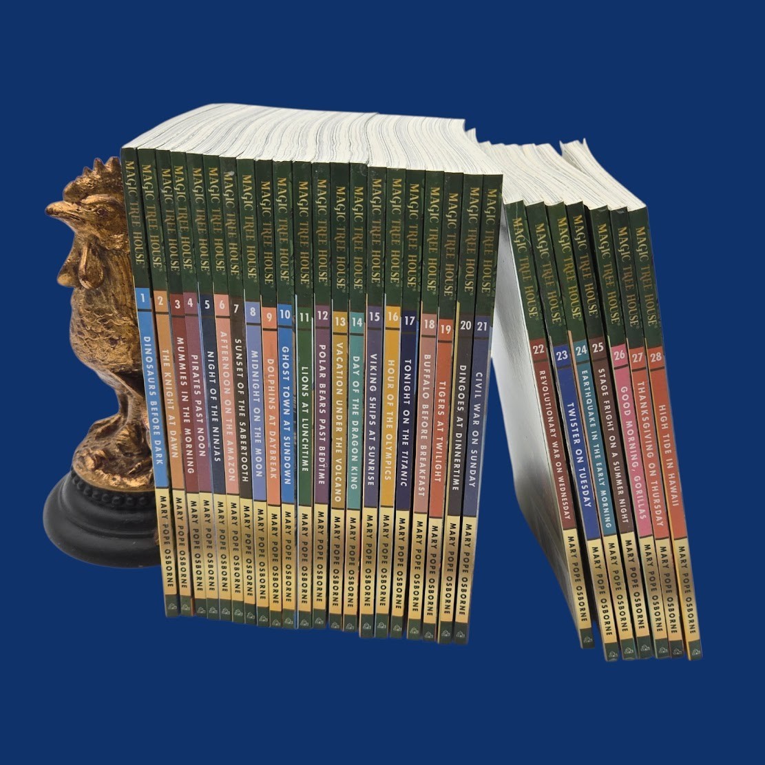 Set 5A: Magic Tree House A Library of Books 1-28 – Mary Pope Osborne Collection