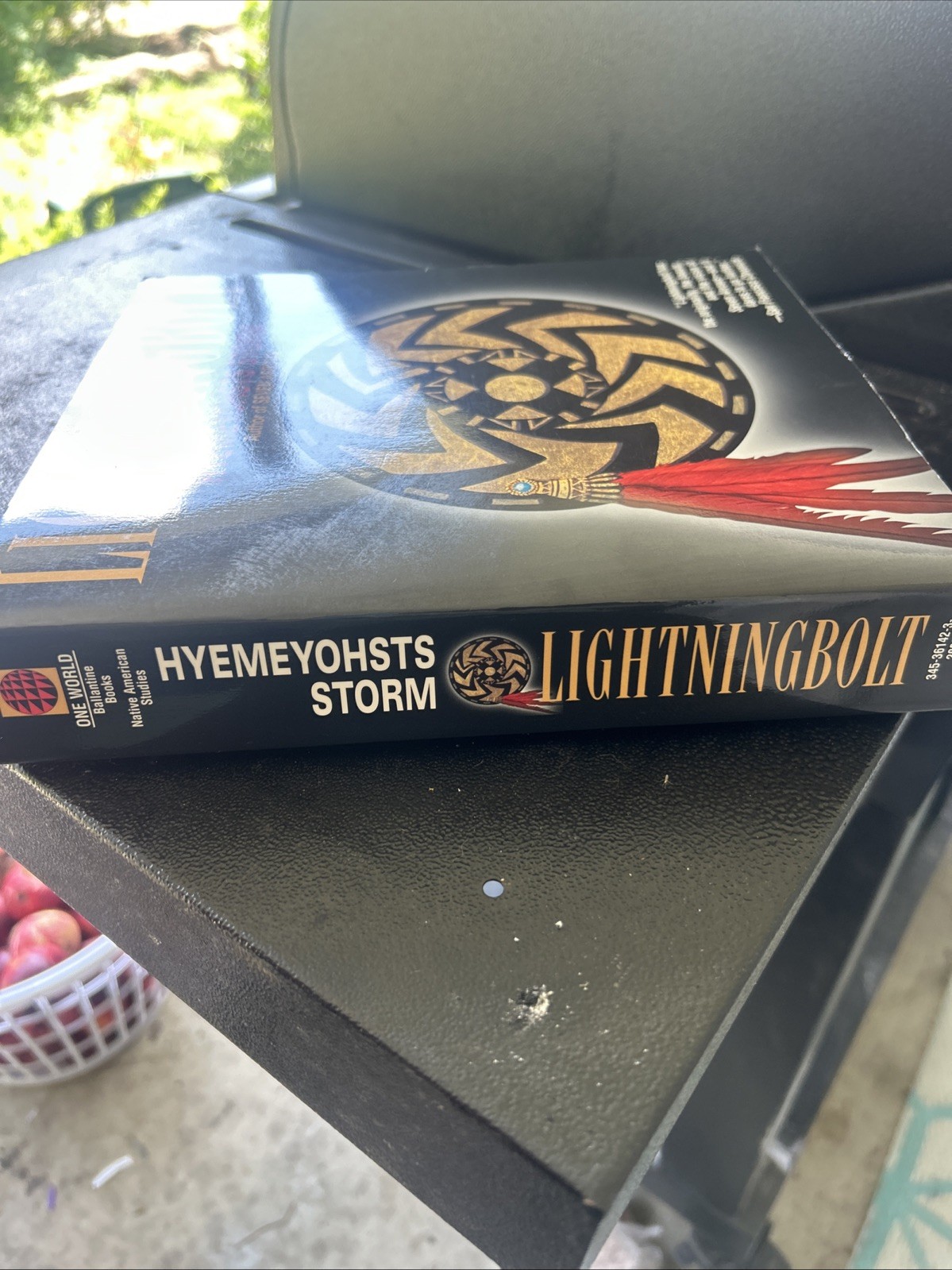 Lightningbolt by Hyemeyohsts Storm (1997, Trade Paperback)