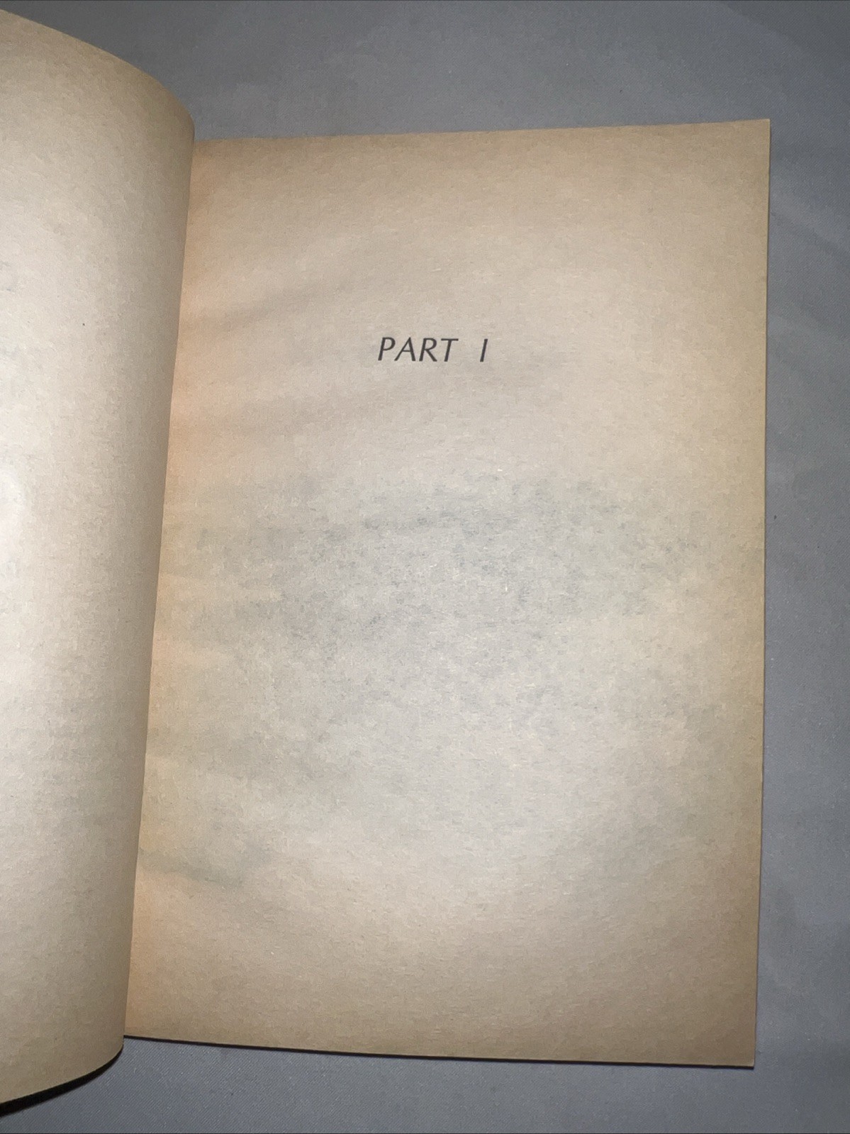 Julie Of The Wolves – George, Jean Craighead – Good – See condition notes