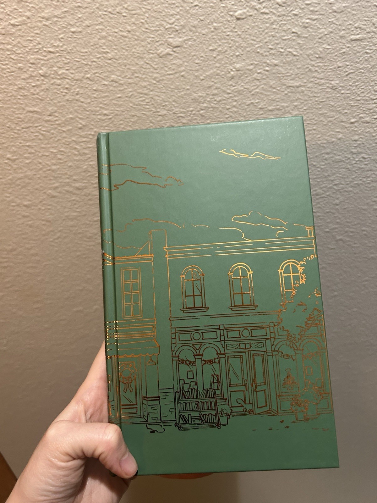 The Cinnamon Bun Book Store Laurie Gilmore (TikTok Exclusive, Special Edition!)