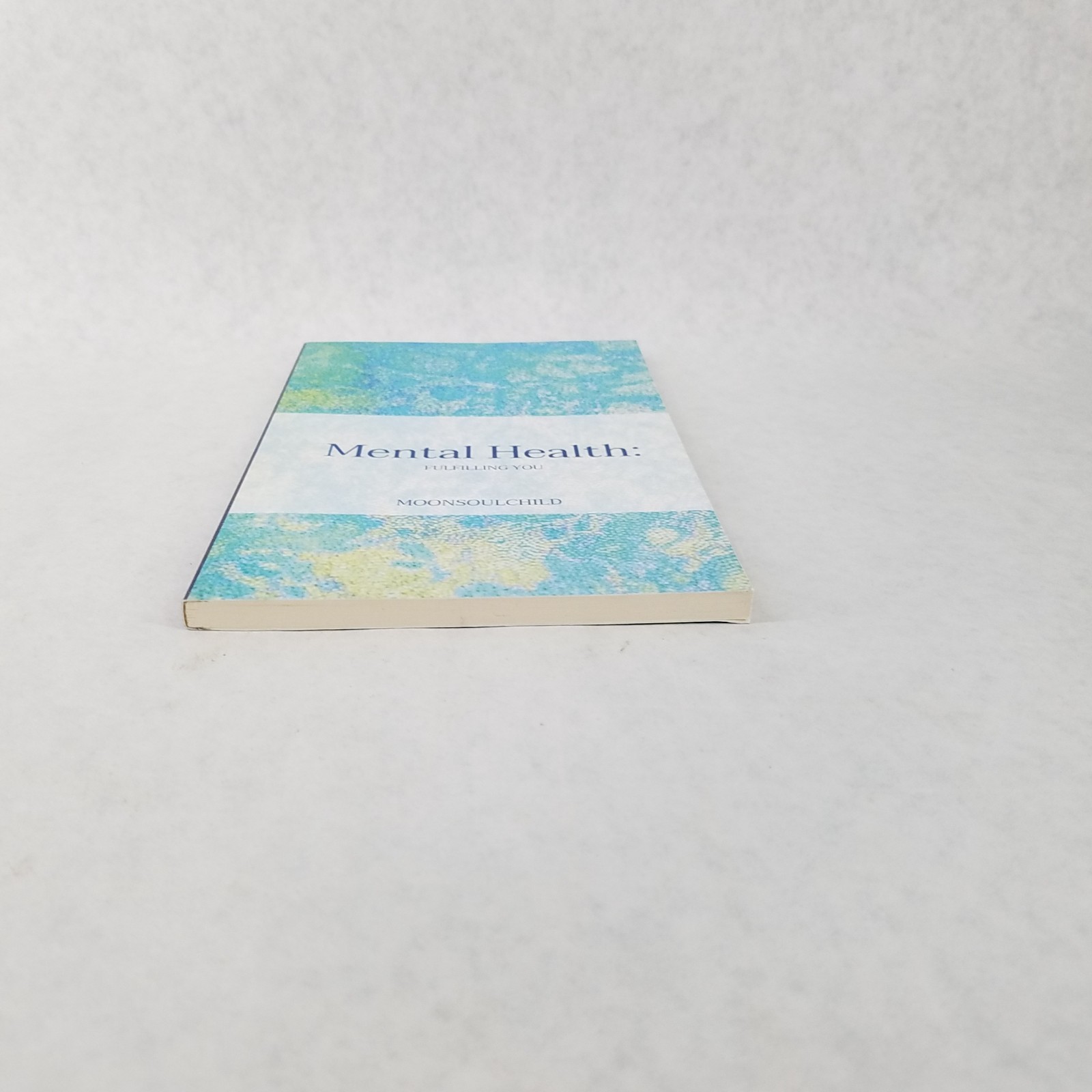 Mental Health: Fulfilling You – 2022 Softcover by Sara Sheehan – LIKE NEW!