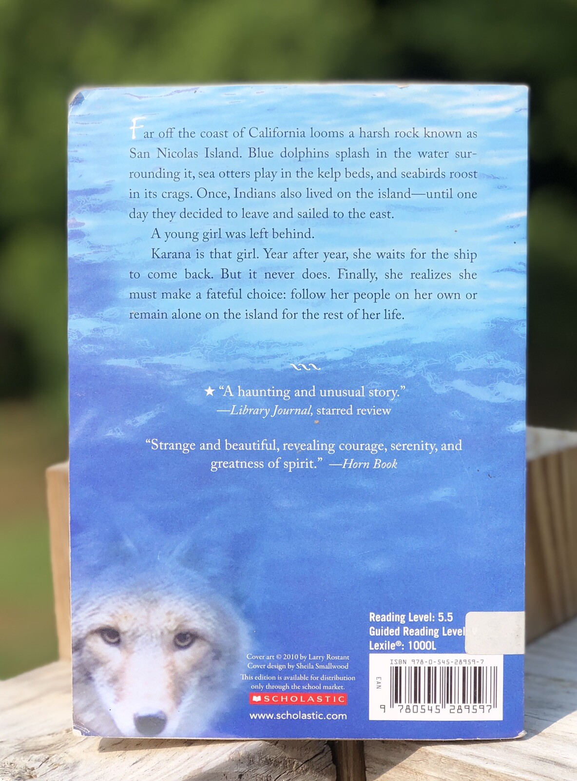 Island of the Blue Dolphins Paperback