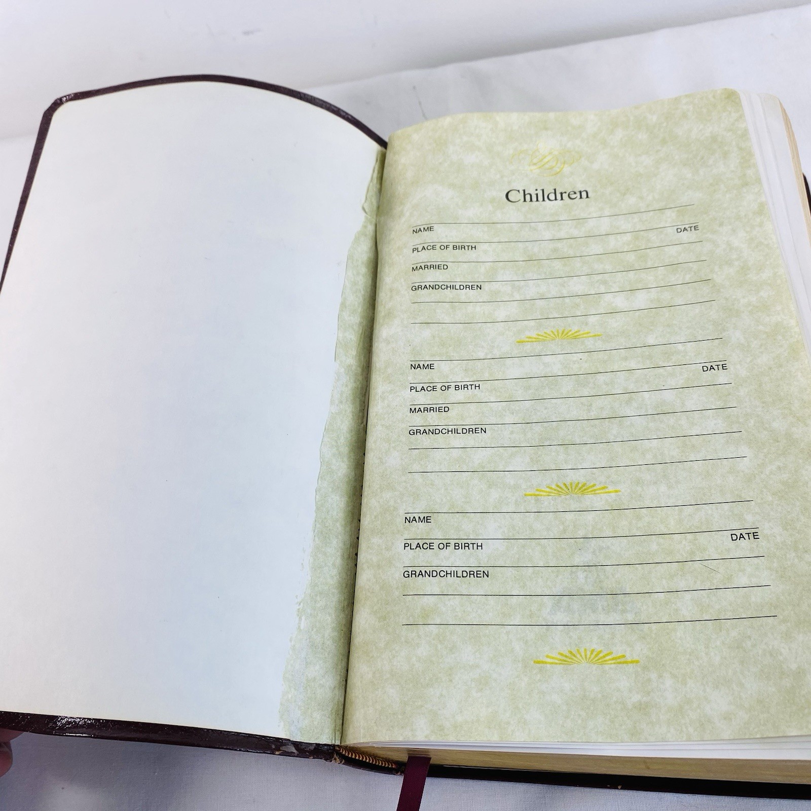 Salem Kirban Reference Bible King James Version 1979 Faux Leather Soft Cover