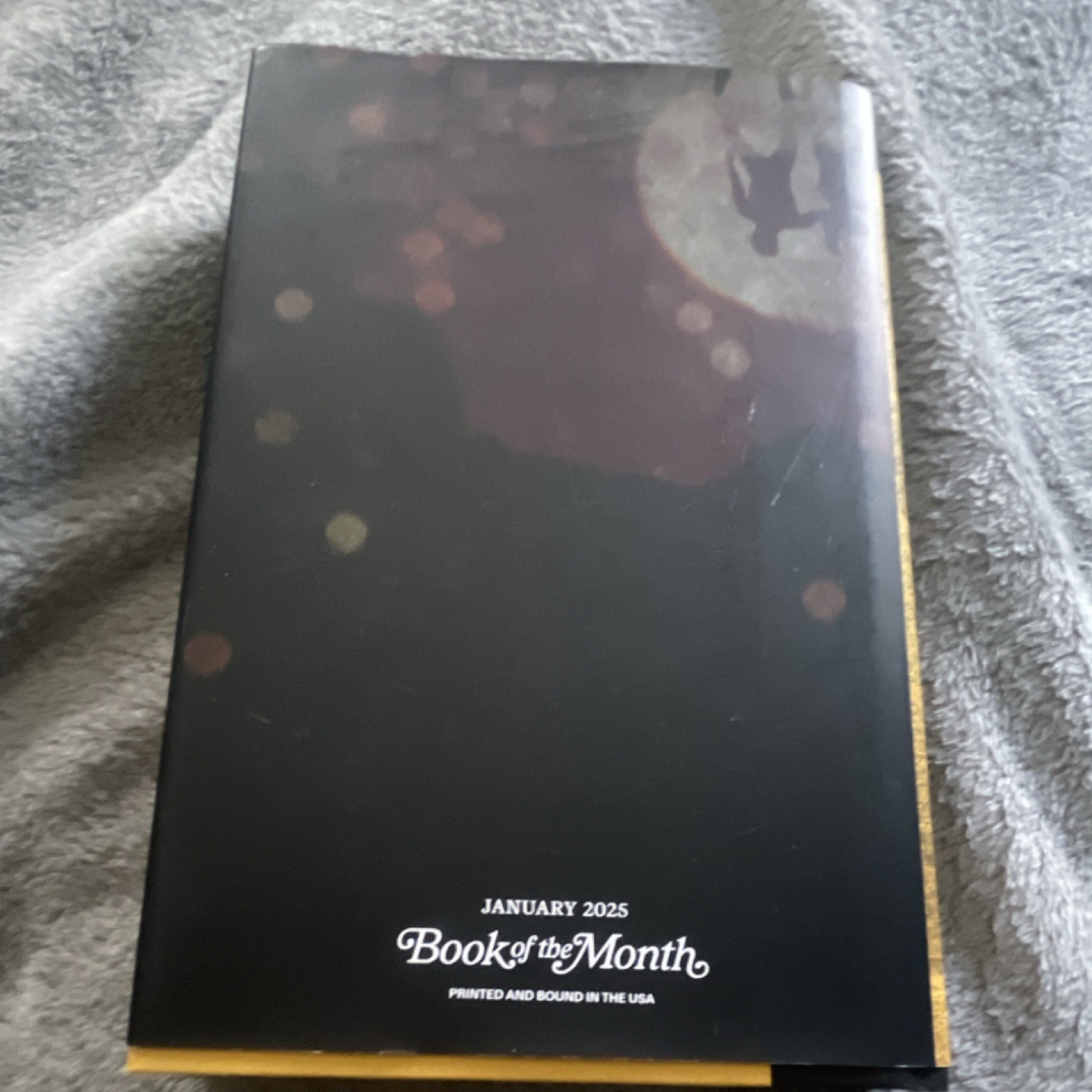 The Favorites by Layne Fargo Book of the Month Hardcover Edition