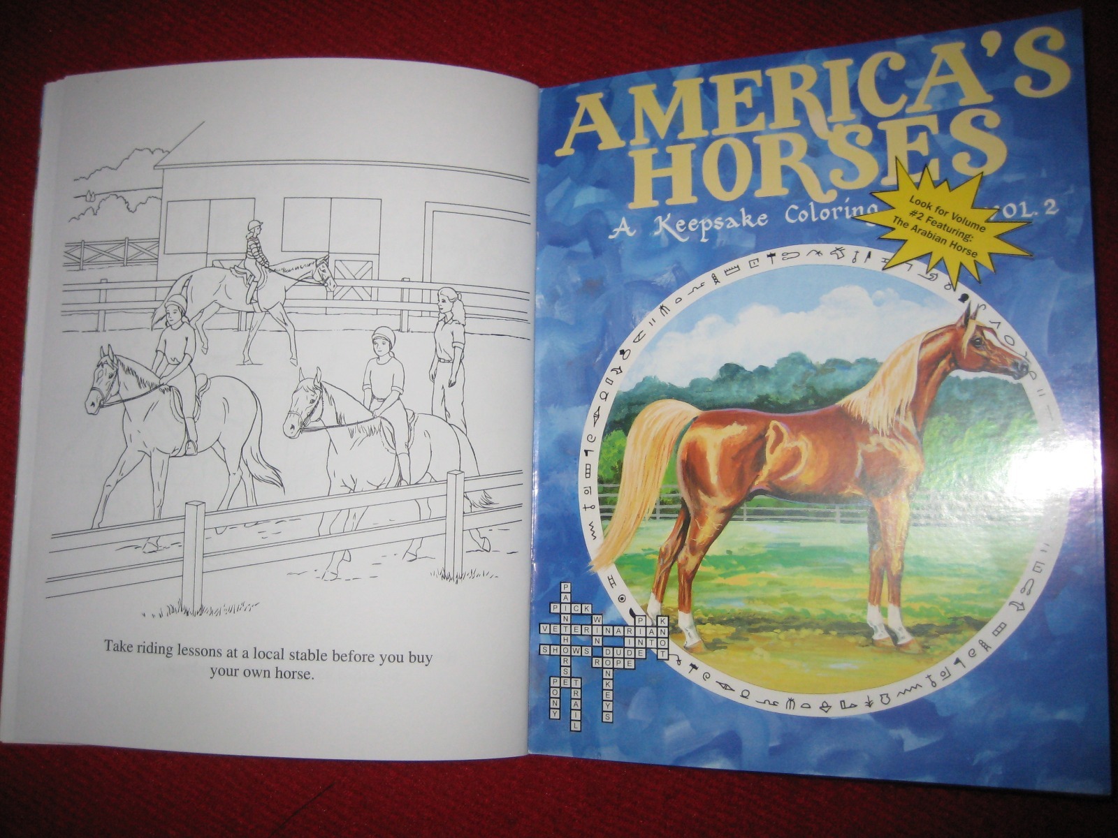 America’s Horses Paint Horse A Keepsake Coloring Activities Equestrian 32pg Book