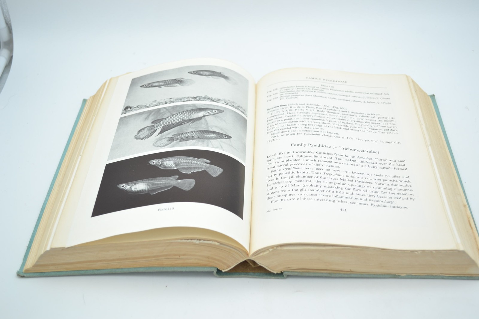 Freshwater Fishes of the World Gunther Sterba 1969 printing, Pet Library