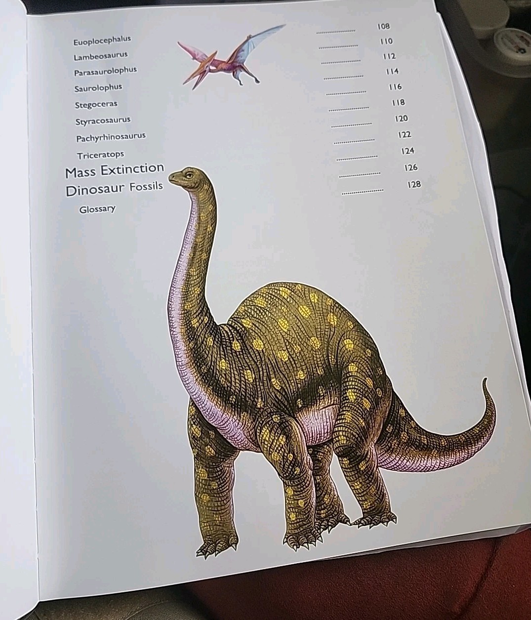 Childrens Encyclopedia of Dinosaurs Hard Cover Vision St Publishing Educational